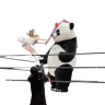 Panda Pedinte