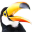 Toucan